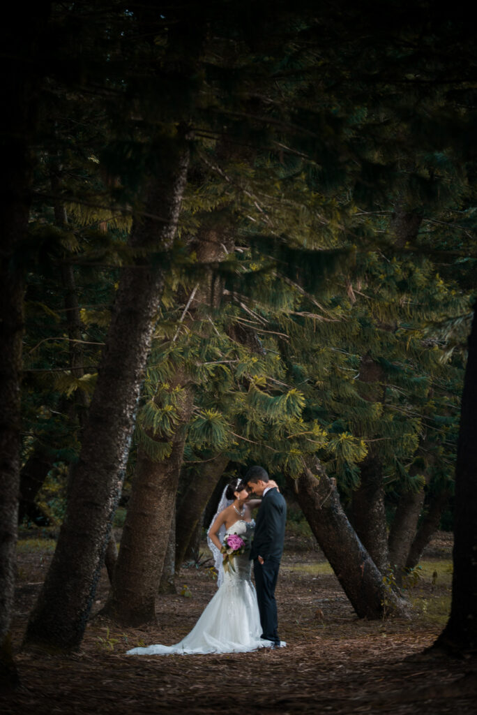 Sesión de fotos de compromiso de Laura y Albert en el Jardín Botánico de Santo Domingo, República Dominicana