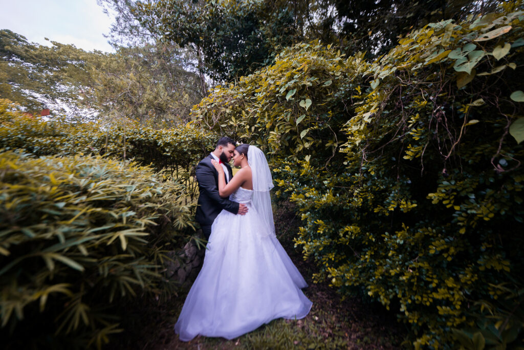 Hermosa sesion de novios en el Jardin Botanico de Santo Domingo de Tamy y George