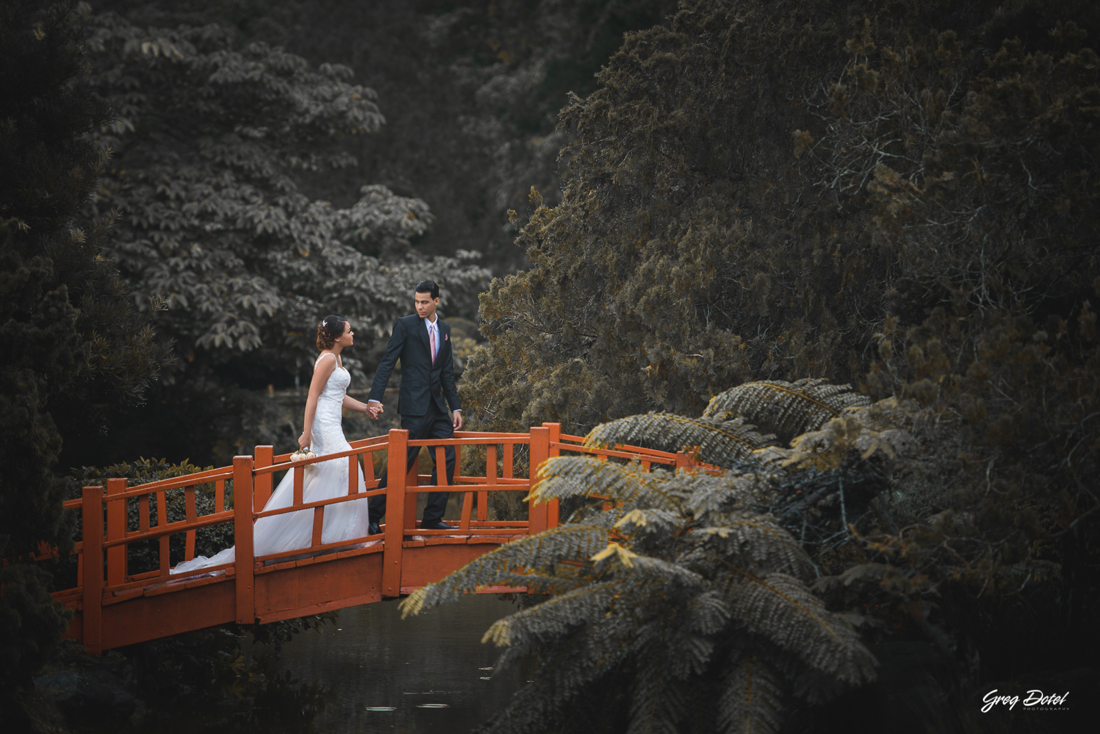 Sesión de fotos de novios o pre boda de Emilie y Carlos en el Jardín Botánico de Santo Domingo, República Dominicana por el fotografo dominicano Greg Dotel Photography