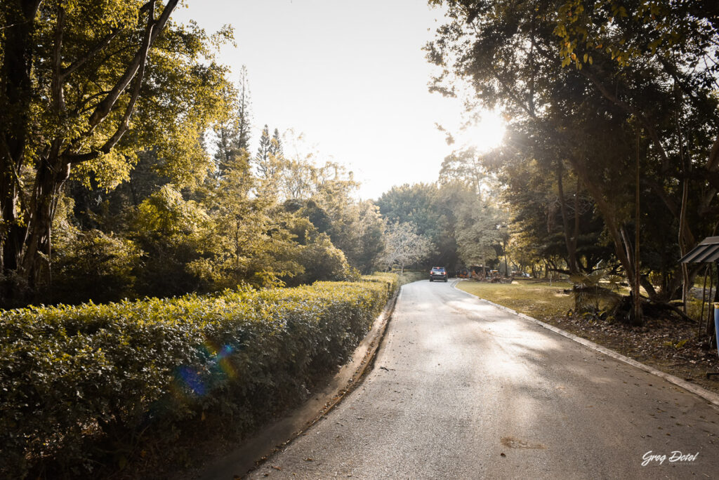 Requisitos para solicitar permiso para sesión de fotos en el Jardín Botánico de Santo Domingo, República Dominicana