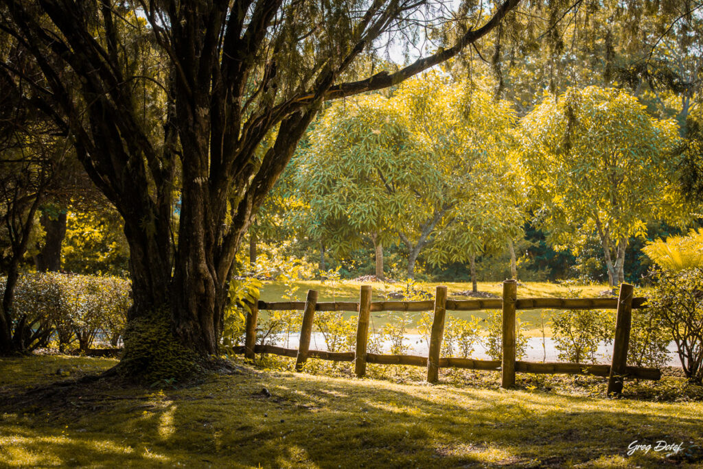 Requisitos para solicitar permiso para sesión de fotos en el Jardín Botánico de Santo Domingo, República Dominicana